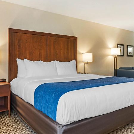 Comfort Inn & Suites Near Route 66 Lincoln Camera foto