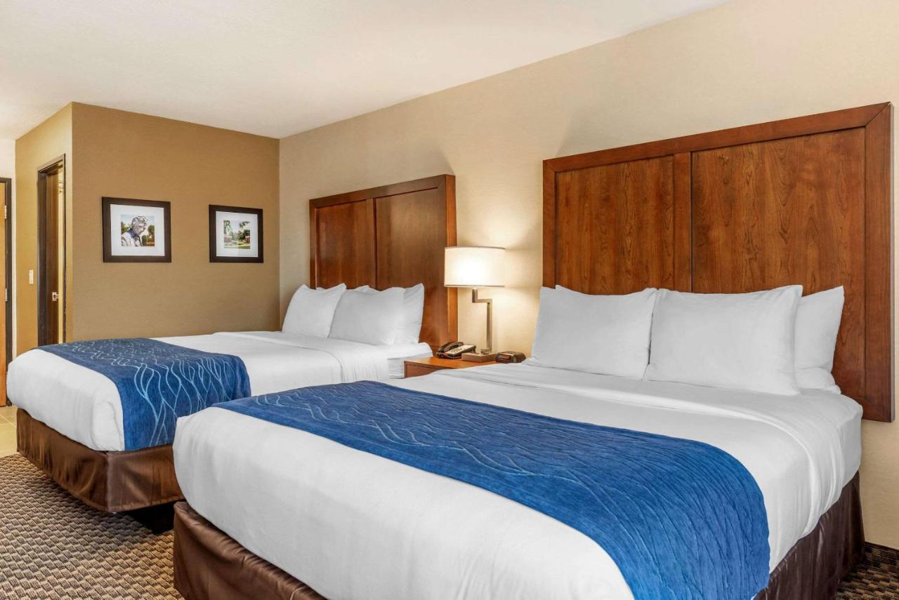 Comfort Inn & Suites Near Route 66 Lincoln Esterno foto